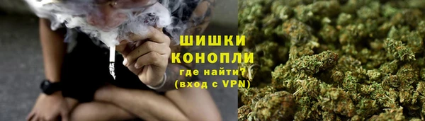 молекула духа Инта