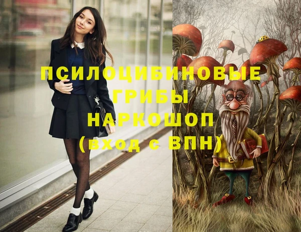 твердый Зеленокумск