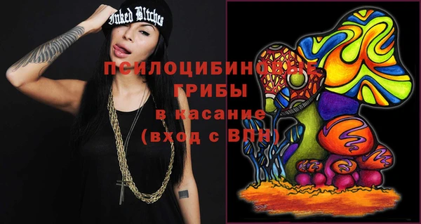 индика Зерноград