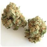 Шишки "White Widow"  (Белая вдова)  Гидропоника -  Бошка VHQ в Емве